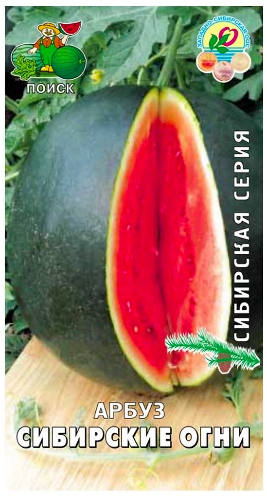 Семена Арбуза ПОИСК Сибирская серия Сибирские огни 15 шт