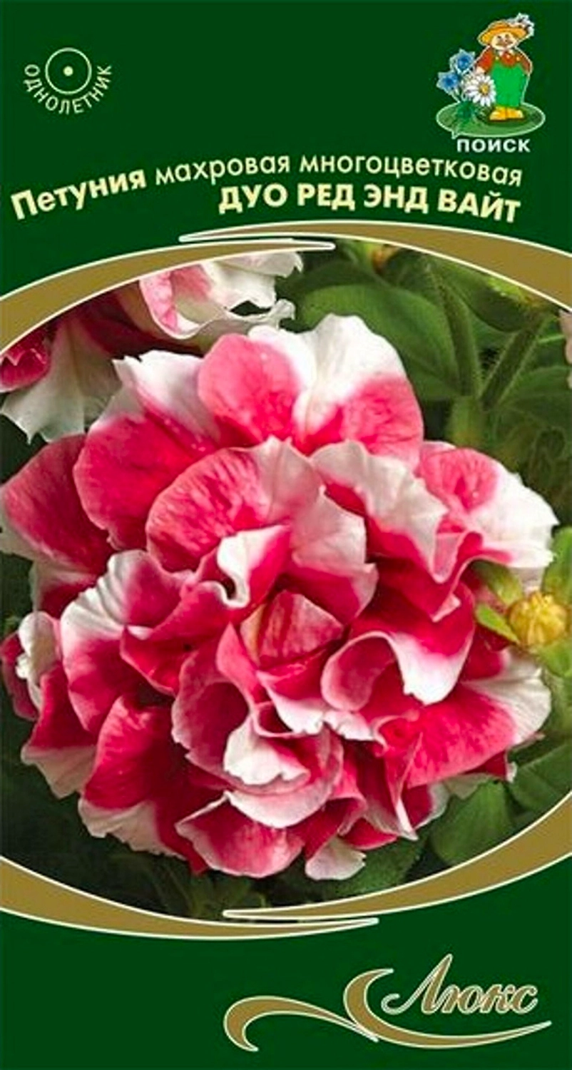 Семена Петунии махровой многоцветковой ПОИСК Дуо ред энд вайт 10 шт