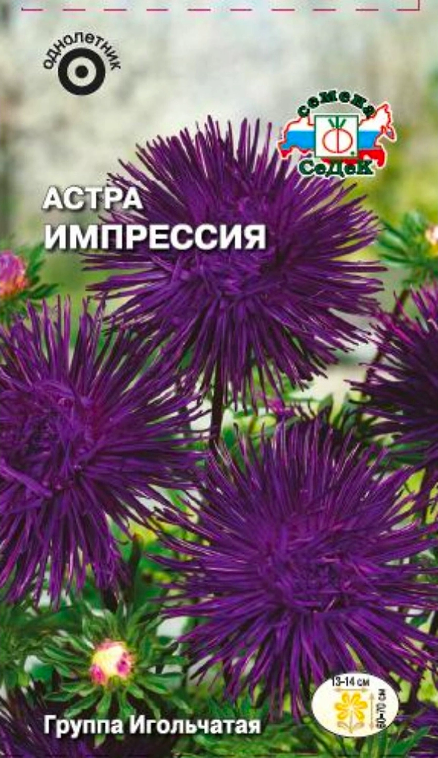 Семена Астры СеДеК Импрессия 3 г