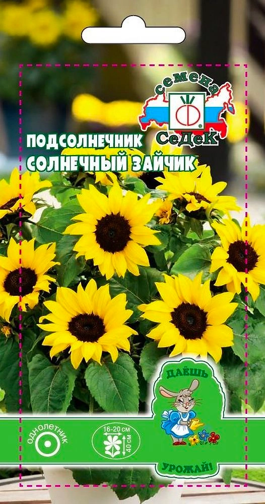 Семена Подсолнечника СеДеК Солнечный Зайчик 1 г