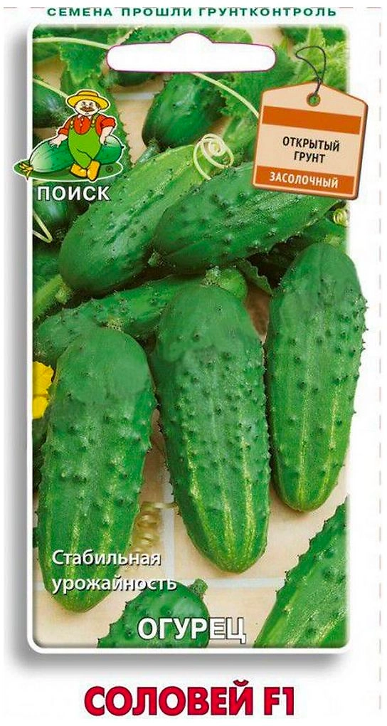Семена Огурца ПОИСК Соловей F1 12 шт