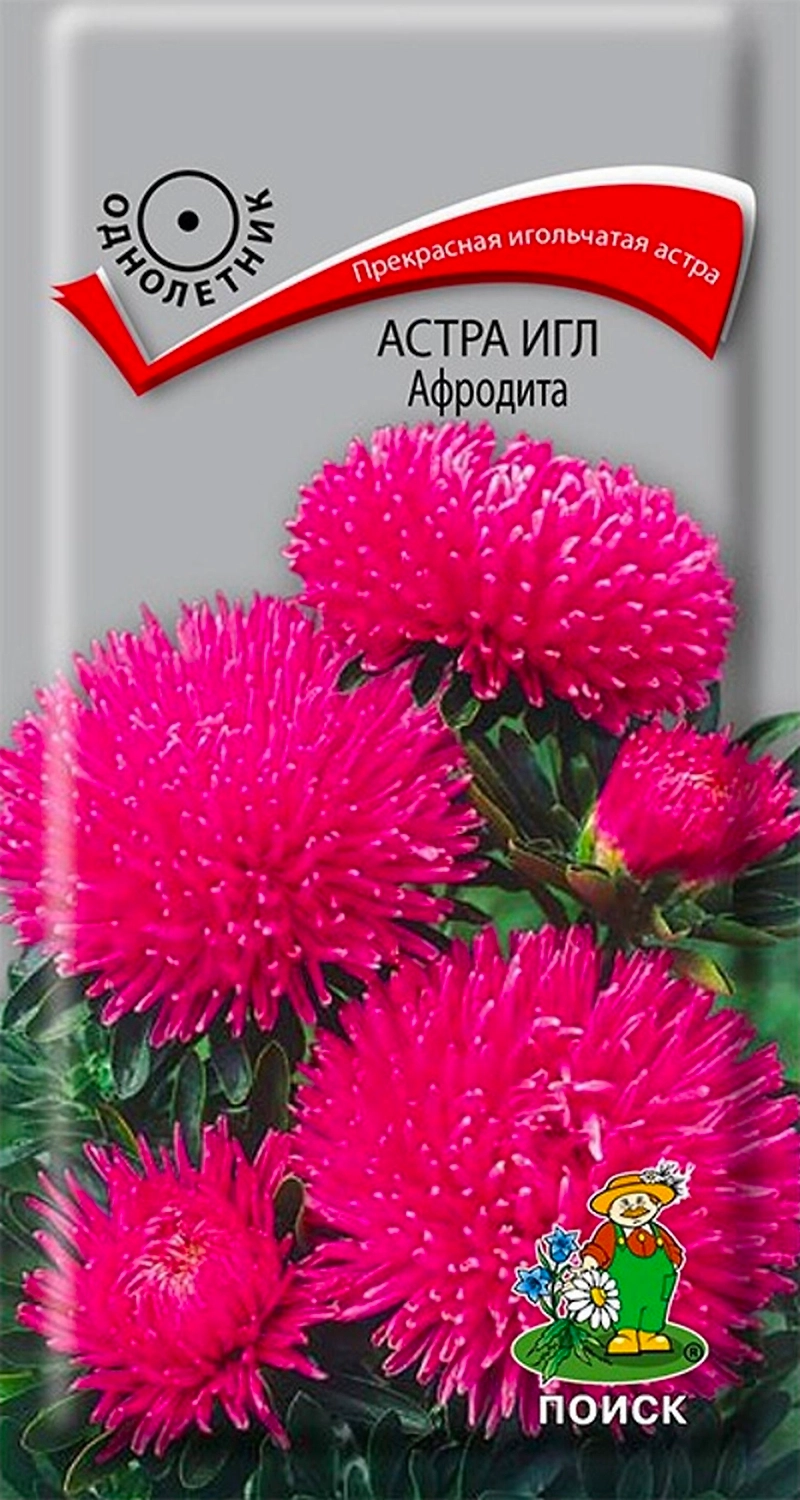 Семена Астры ПОИСК Игл Афродита 0,3 г