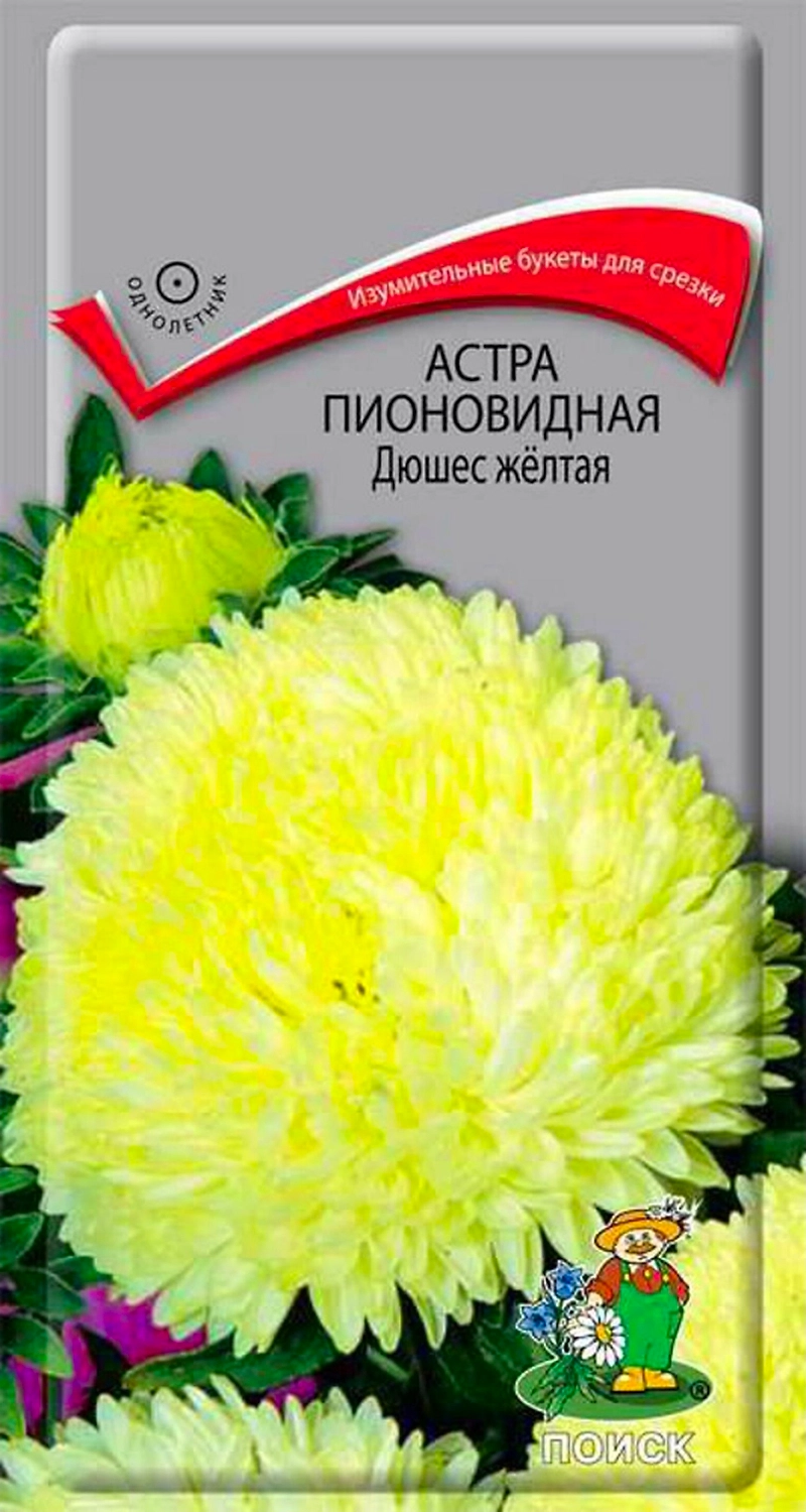 Семена Астры пионовидной ПОИСК Дюшес 0,3 г