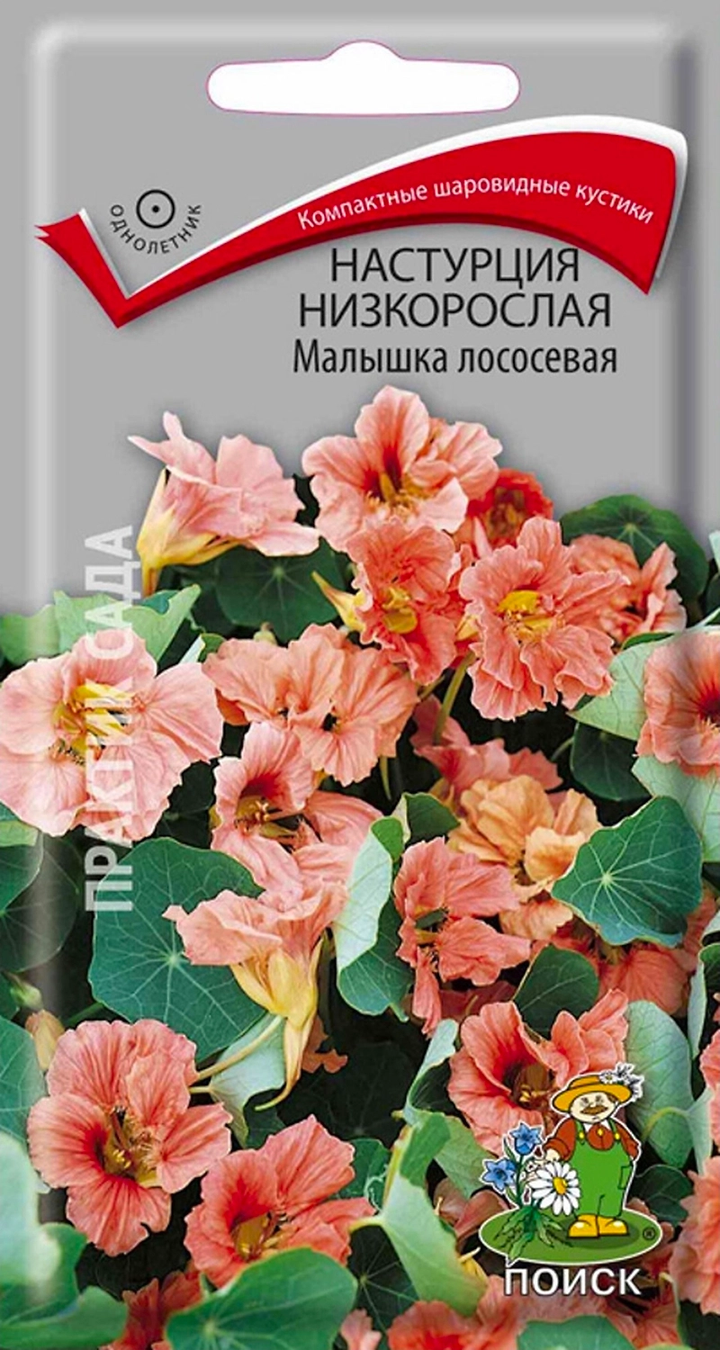 Семена Настурции низкорослой ПОИСК Малышка лососевая 1 г