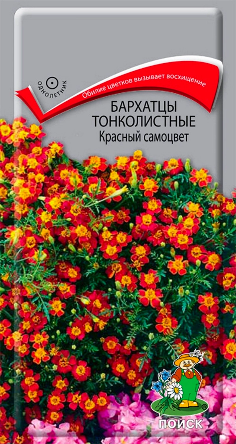 Семена Бархатца тонколистного ПОИСК Красный самоцвет 0,1 г