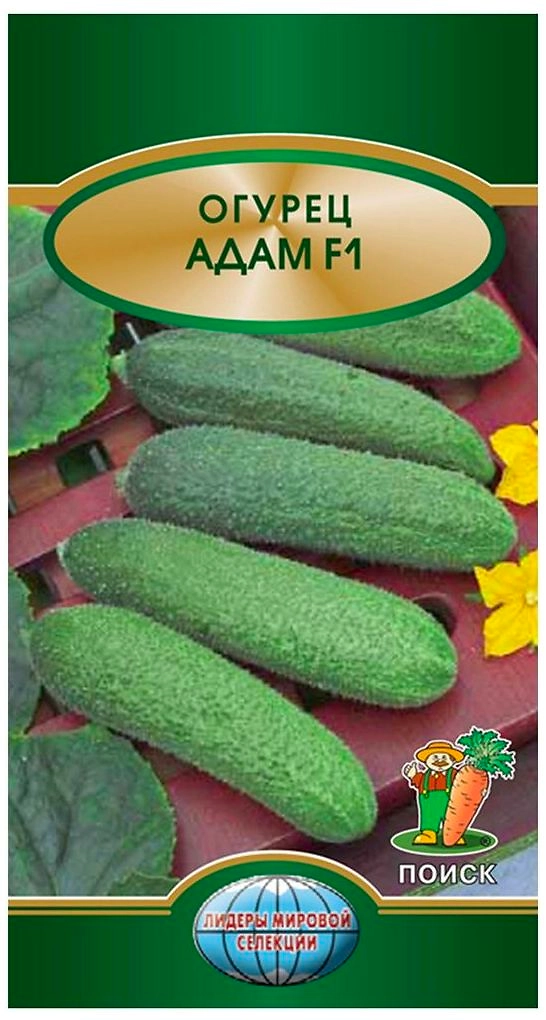 Семена Огурца ПОИСК Адам F1 10 шт