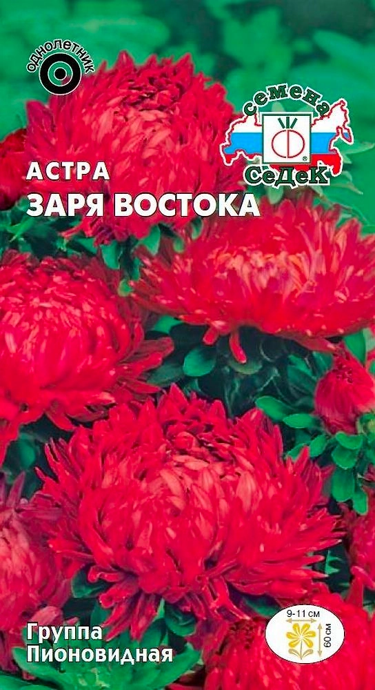 Семена Астры СеДеК Заря востока 3 г