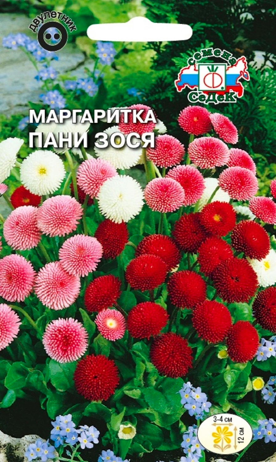 Семена Маргаритки СеДеК Пани Зося смесь 3 г