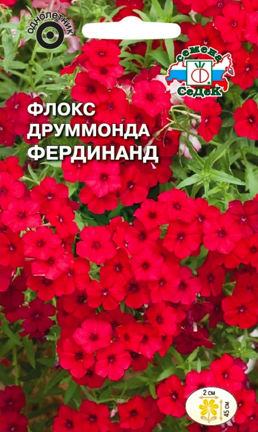 Семена Флокса друммонда СеДек Фердинанд 3 г