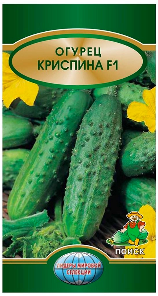 Семена Огурца ПОИСК Криспина F1 12 шт
