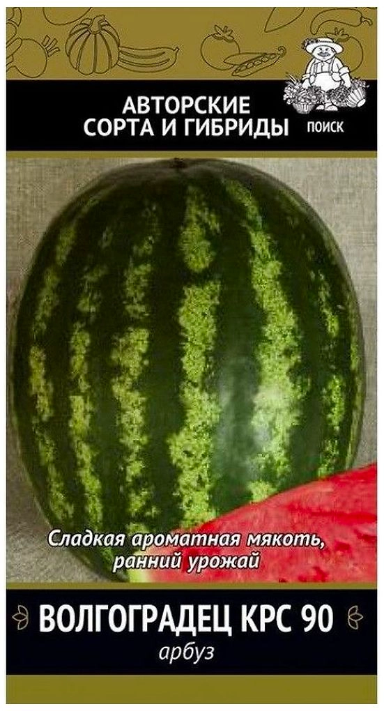 Семена Арбуза ПОИСК Авторские сорта и гибриды Волгоградец КРС 90 15 шт