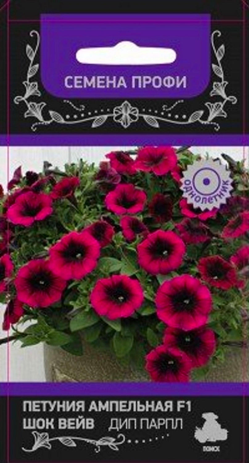 Семена Петунии ампельной ПОИСК Шок вейв дип парпл F1 5 шт