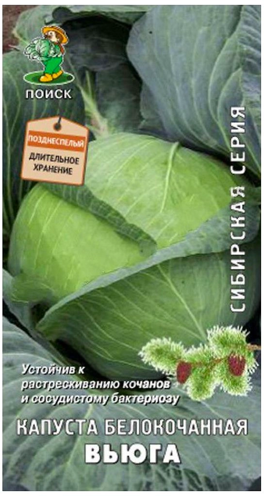 Семена Капуста б/к Вьюга Сибирская серия ПОИСК 0,5 г