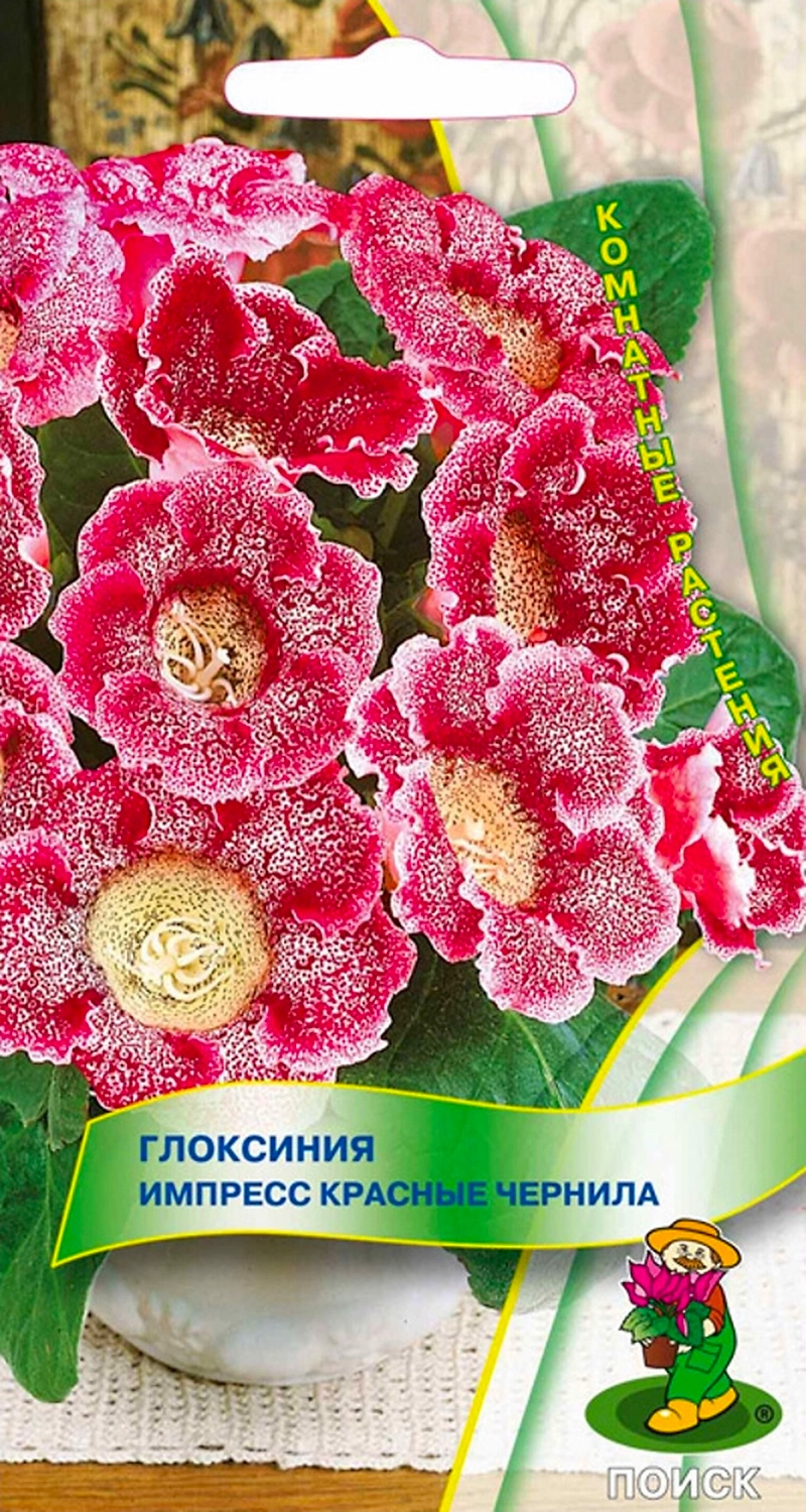 Семена Глоксинии ПОИСК Импресс Красные чернила 5 шт