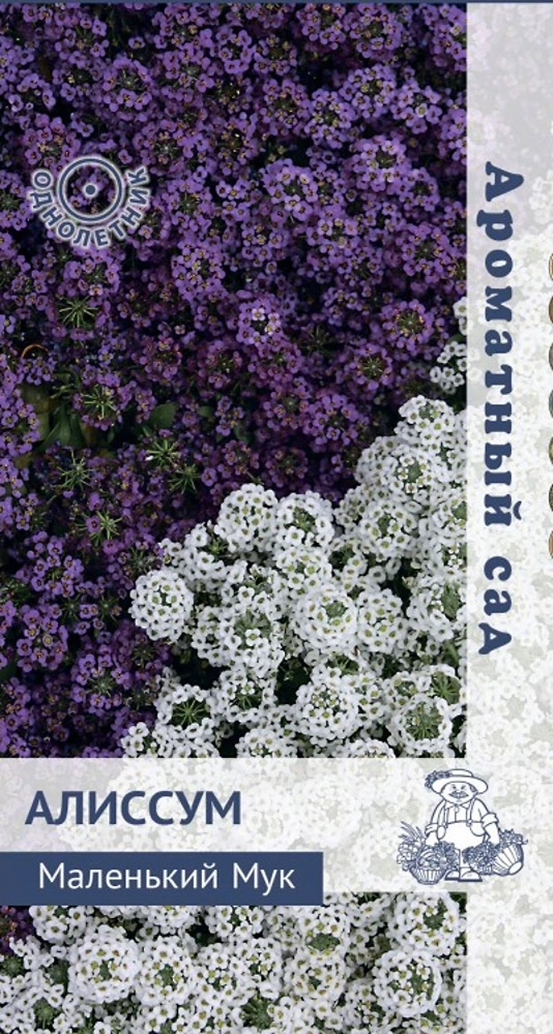 Семена алиссума ПОИСК Ароматный сад Маленький мук 0,3 г