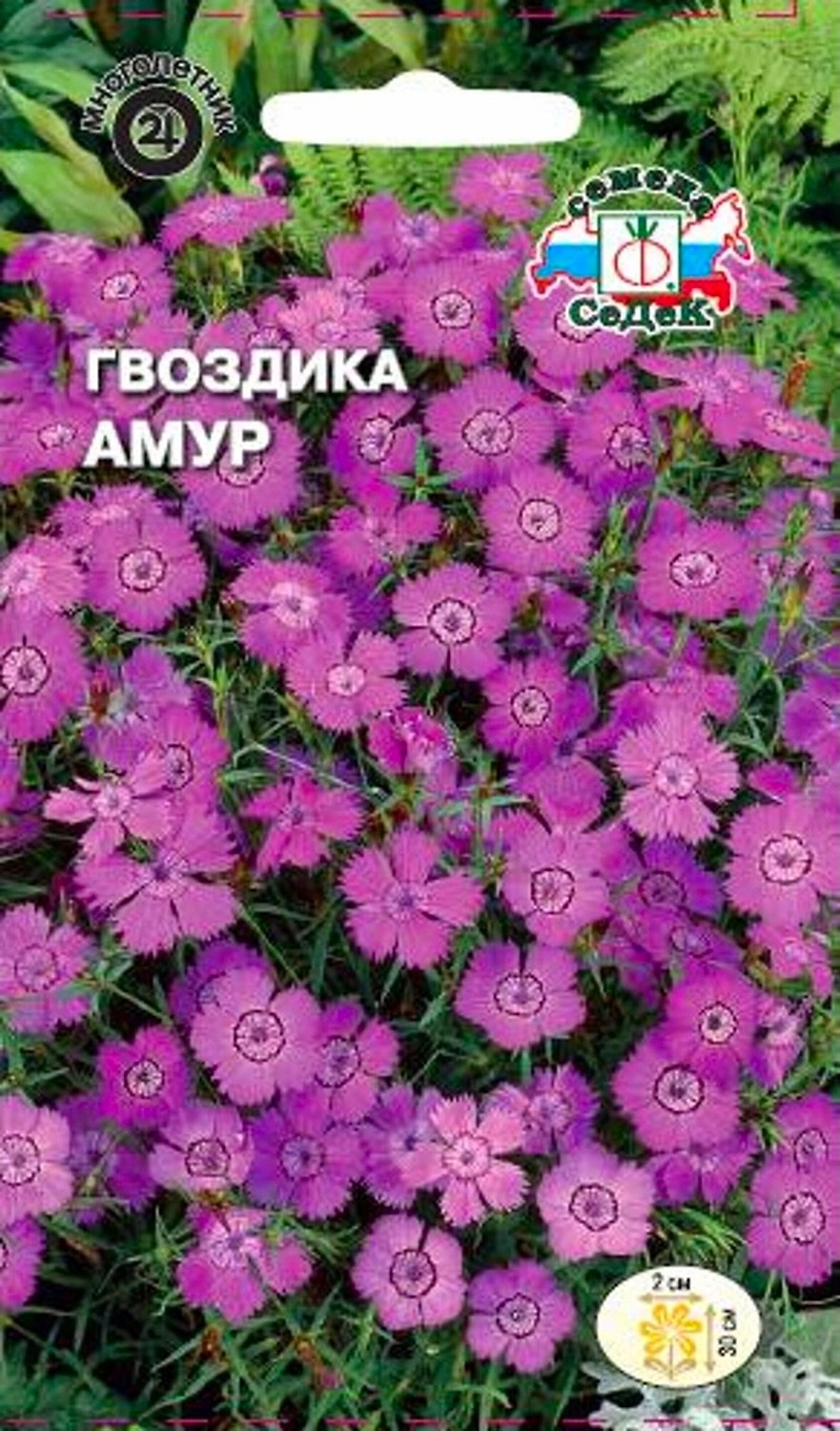 Семена Гвоздики СеДеК Амур 1 г