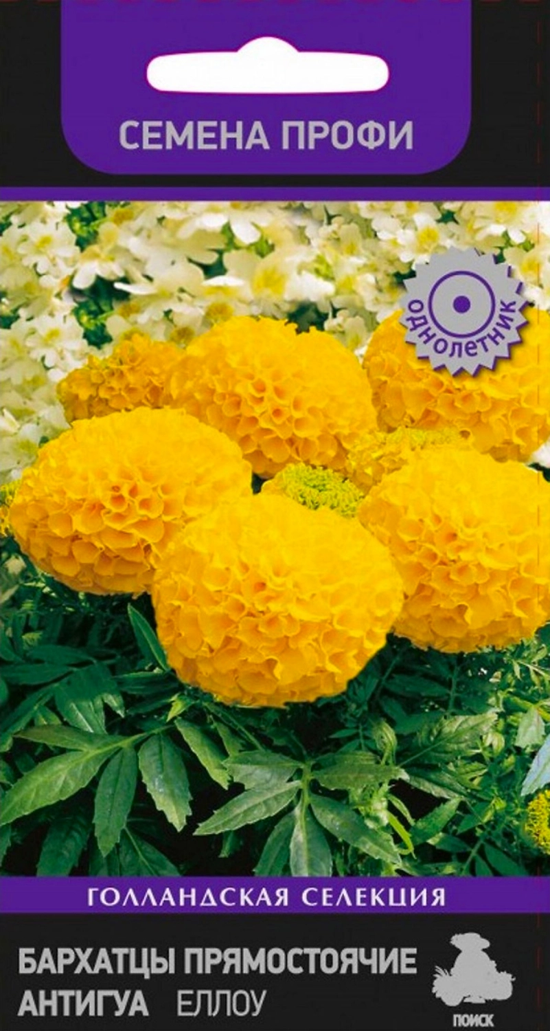 Семена Бархатца ПОИСК Голландская Селекция Прямостоячие Антигуа Еллоу 15 шт