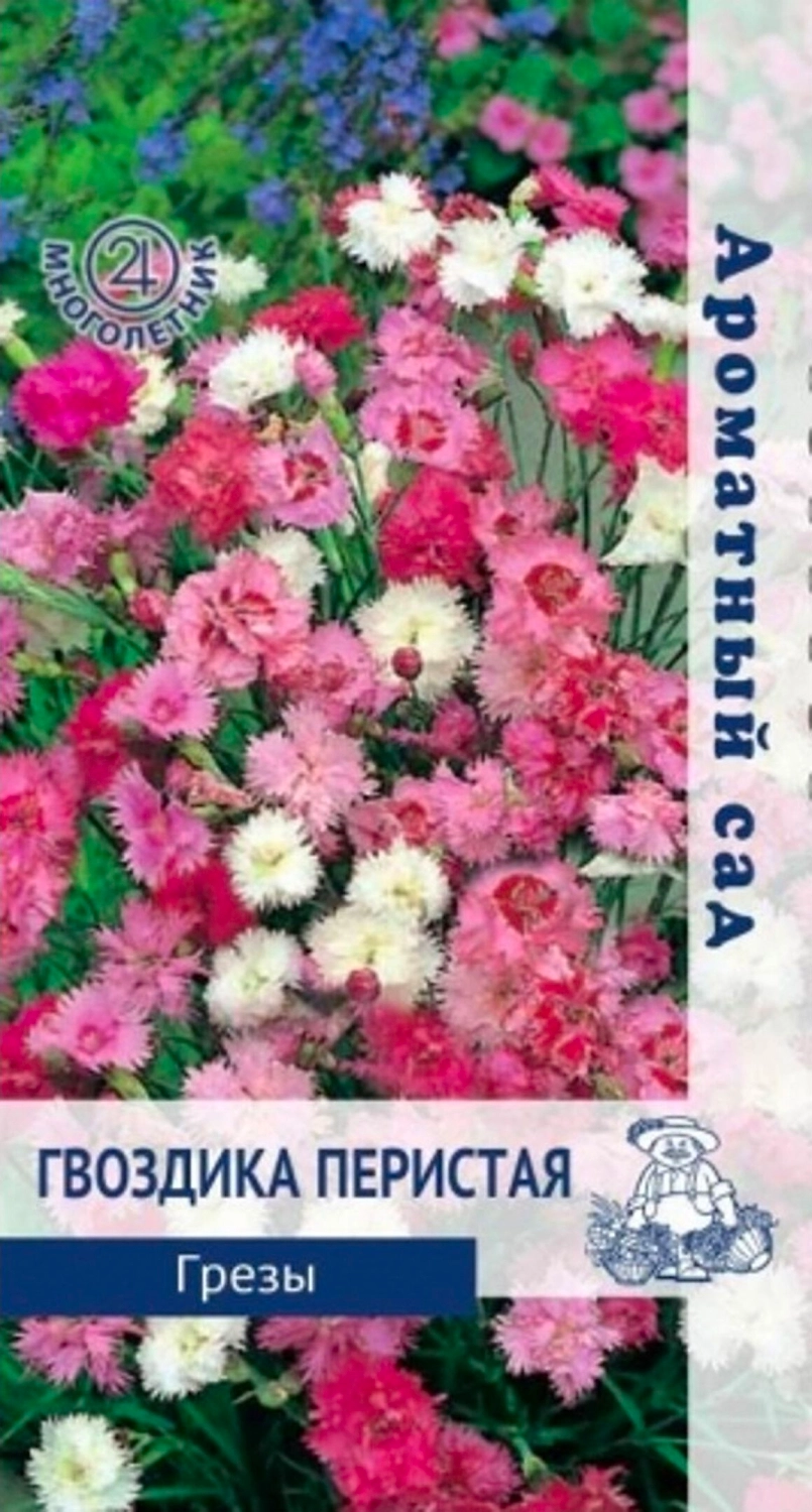 Семена Гвоздики ПОИСК Ароматный сад Перистая Грезы 0,1 г