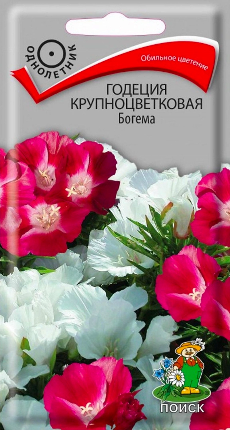 Семена Годеции крупноцветковой ПОИСК Богема 0,2 г