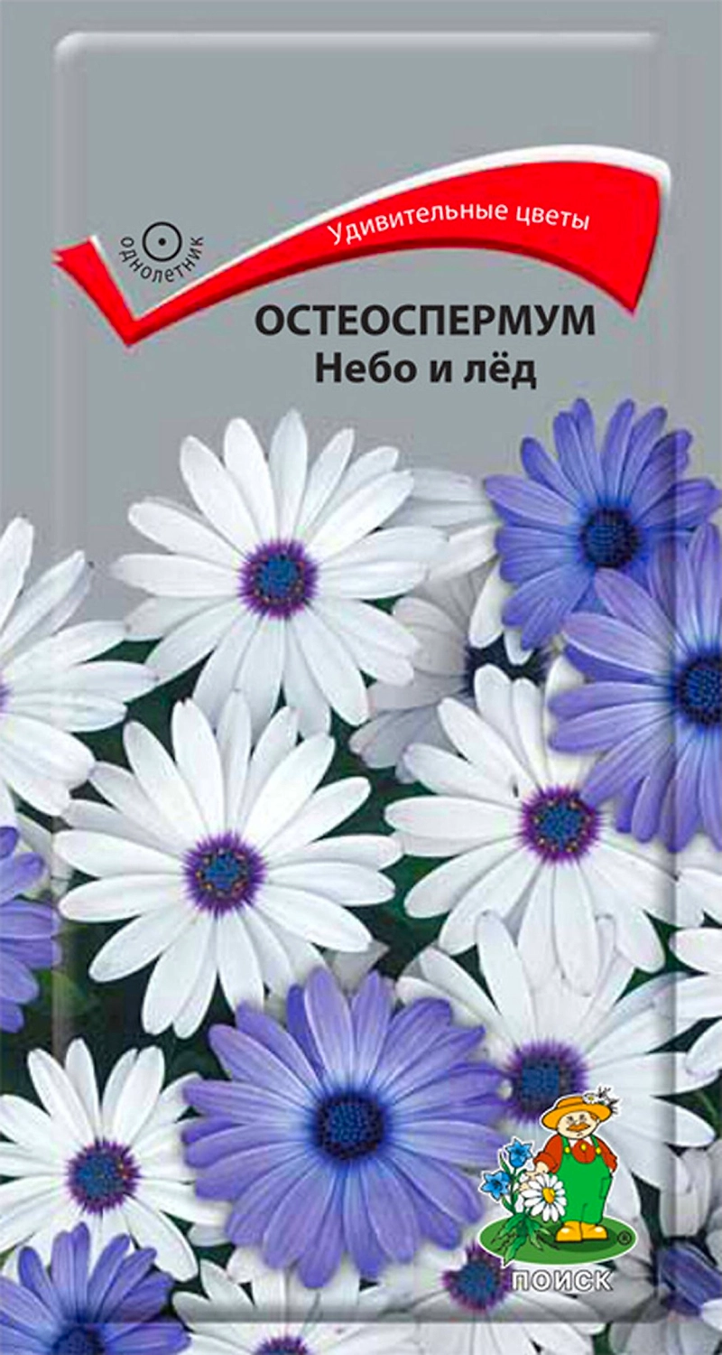 Семена Остеоспермума ПОИСК Небо и лед 0,1 г