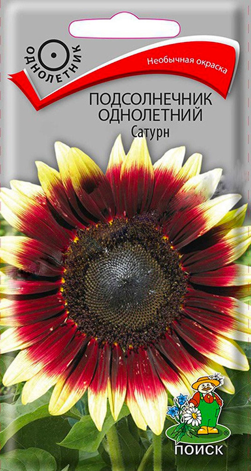 Семена Подсолнечника однолетнего ПОИСК Сатурн 0,3 г