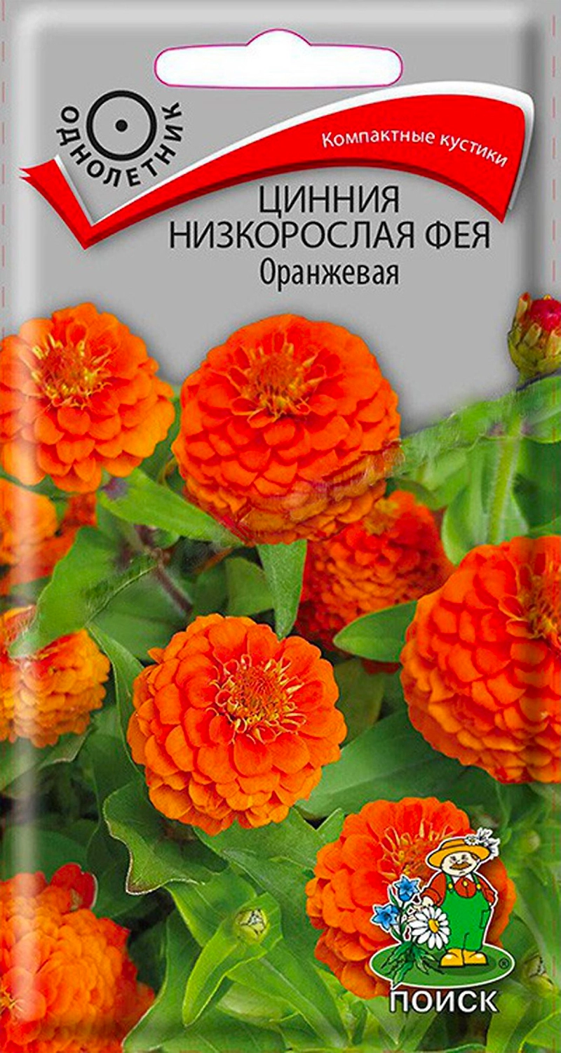 Семена Циннии низкорослой ПОИСК Фея Оранжевая 0,1 г