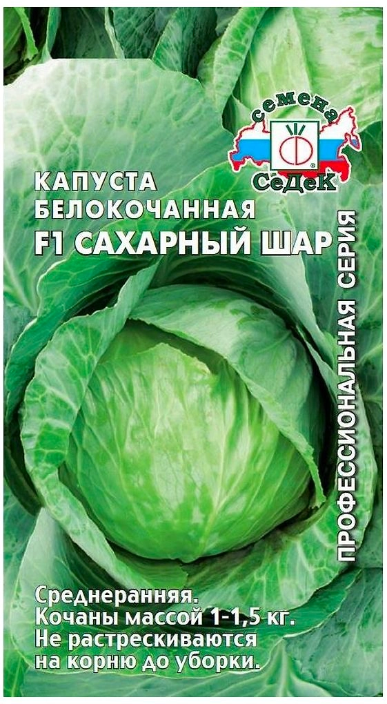 Семена Капусты СеДеК Сахарный шар F1 белокочанная 0,5 г