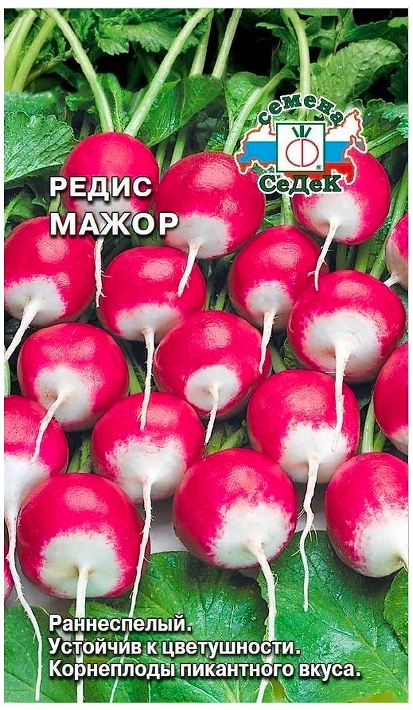 Семена Редиса СеДеК Мажор F1 2 г