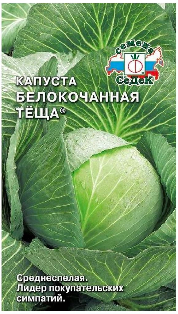 Семена Капусты СеДеК Теща белокочанная 0,5 г