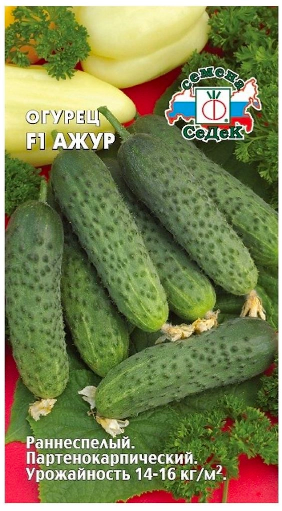 Семена Огурца СеДеК Ажур F1 2 г