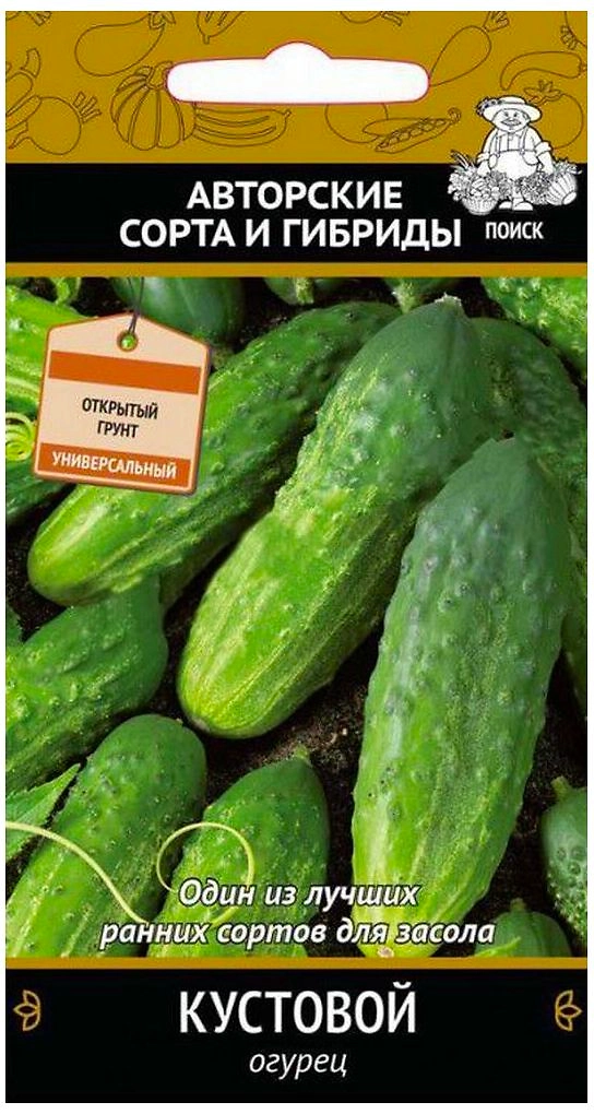 Семена огурцов ПОИСК Авторские сорта и гибриды Кустовой 15 шт