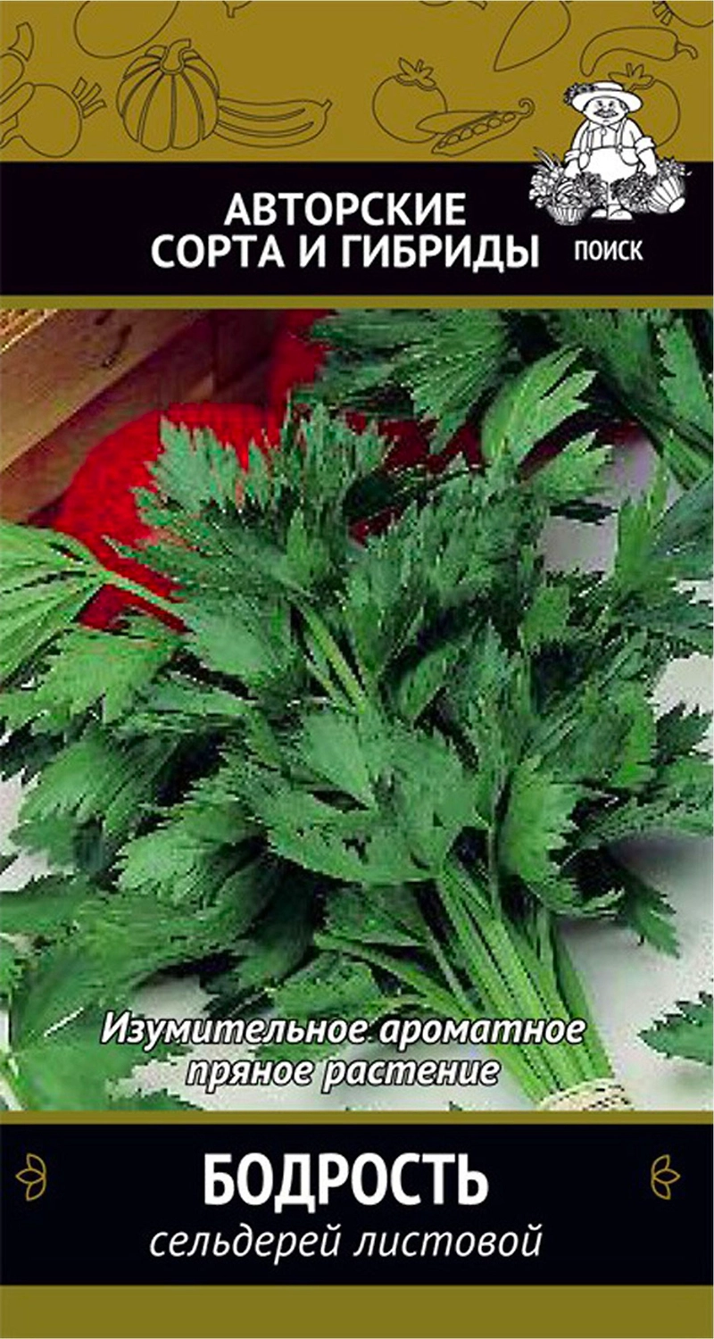 Семена Сельдерея листового ПОИСК Бодрость 0,5 г