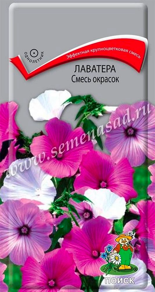 Семена Лаватеры Поиск Смесь окрасок 0,3 г