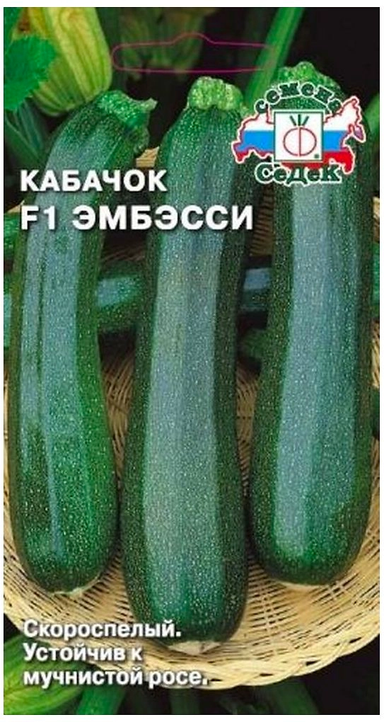 Семена Кабачка СеДеК Эмбесси F1 1 г