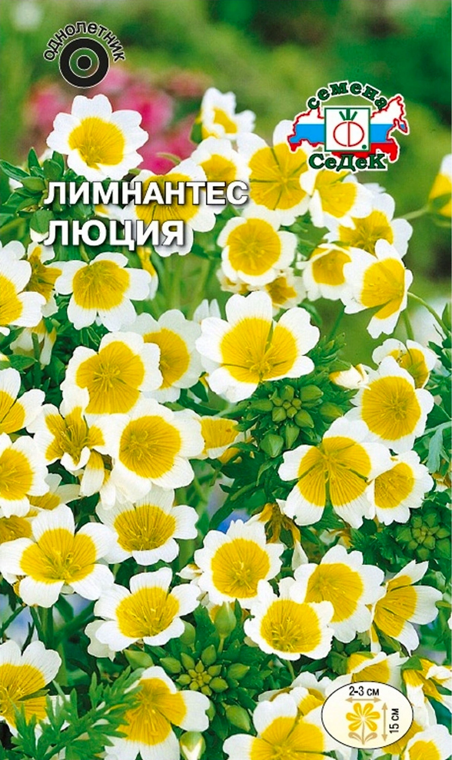 Семена Лимнантеса СеДек Люция 5 г