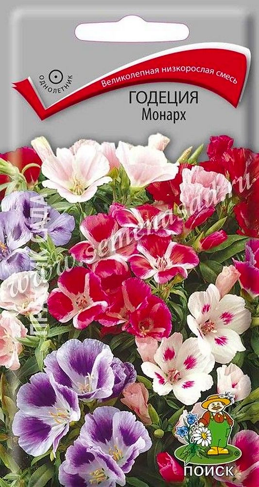 Семена Годеции ПОИСК Монарх 0,3 г