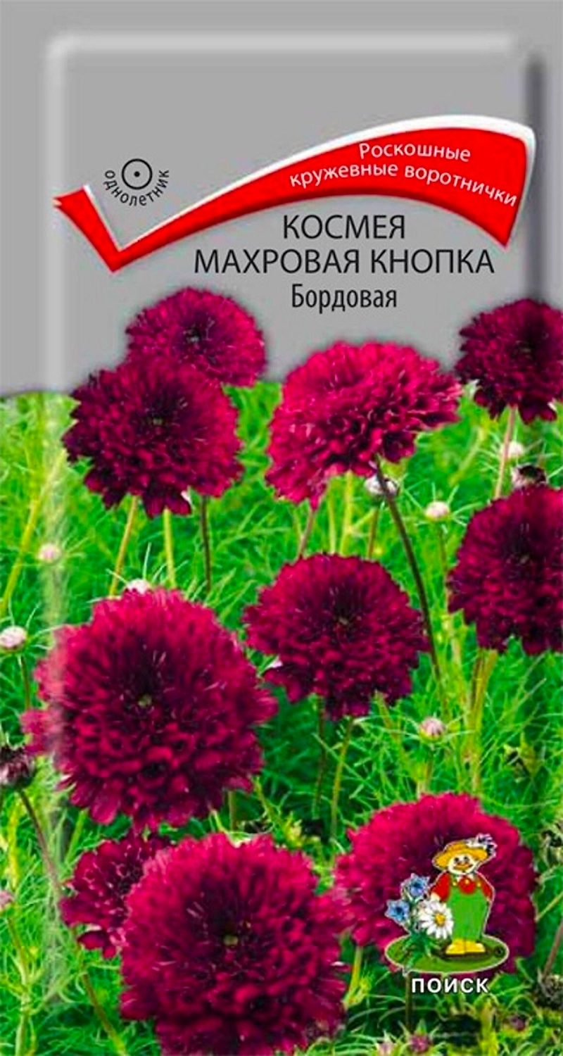 Семена Космеи ПОИСК Махровая кнопка бордовая 0,1 г