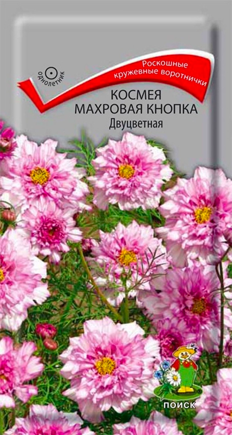 Семена Космеи ПОИСК Махровая кнопка двуцветная 0,1 г