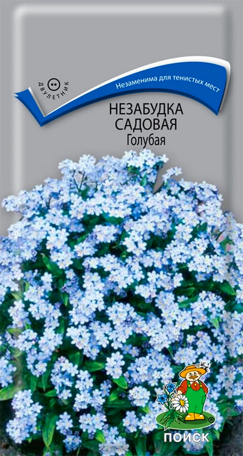 Семена Незабудки ПОИСК Садовая Голубая 0,2 г