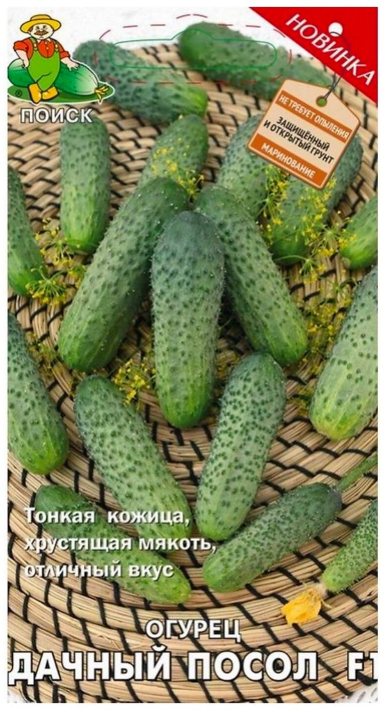Семена Огурца ПОИСК Дачный посол F1 0,1 г