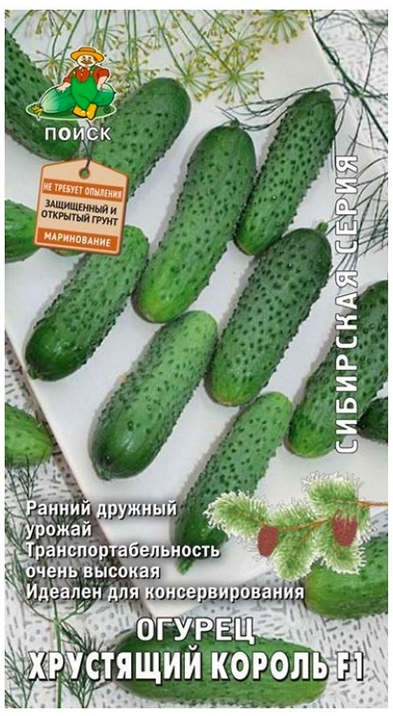 Семена Огурца ПОИСК Хрустящий король F1 0,1 г