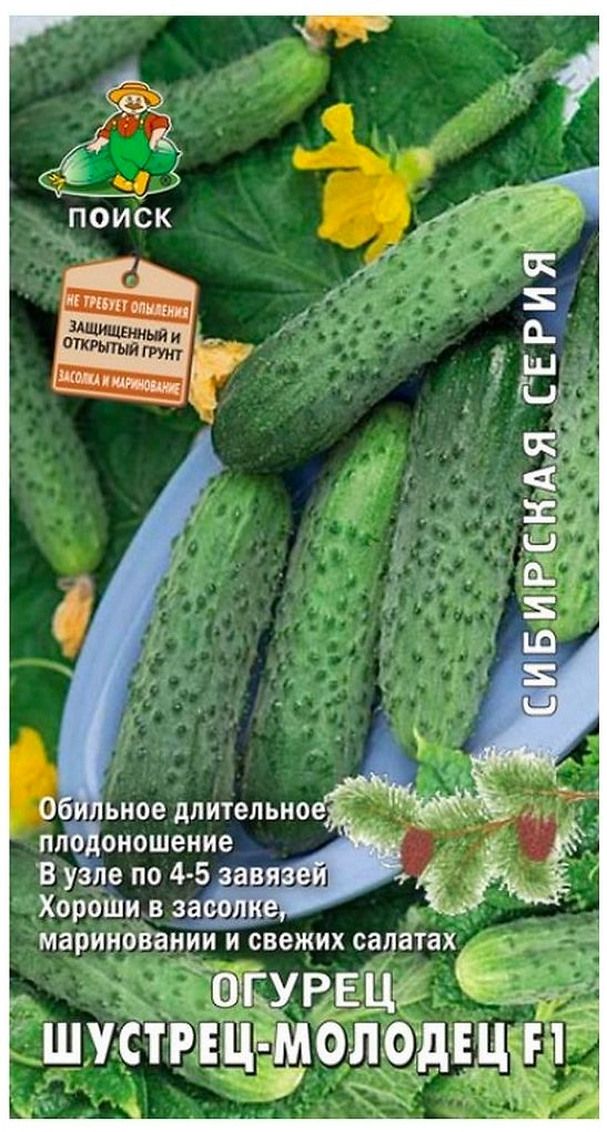 Семена Огурца ПОИСК Шустрец-молодец F1 0,1 г
