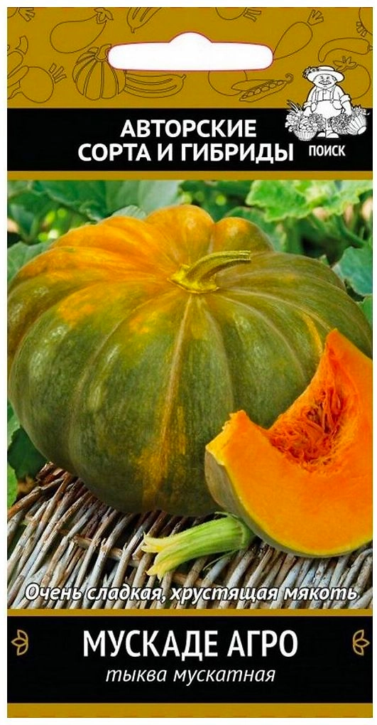 Семена Тыквы мускатной ПОИСК Мускадэ Агро 0,1 г