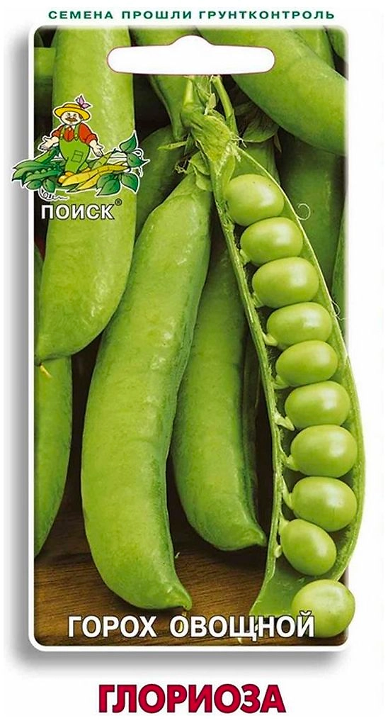 Семена Гороха овощного ПОИСК Глориоза 10 г