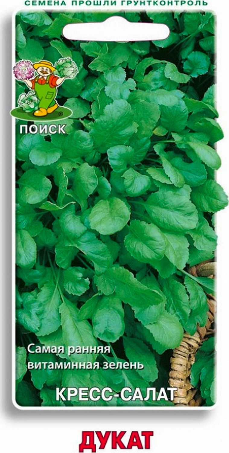 Семена Кресс-салата ПОИСК Дукат 1 г