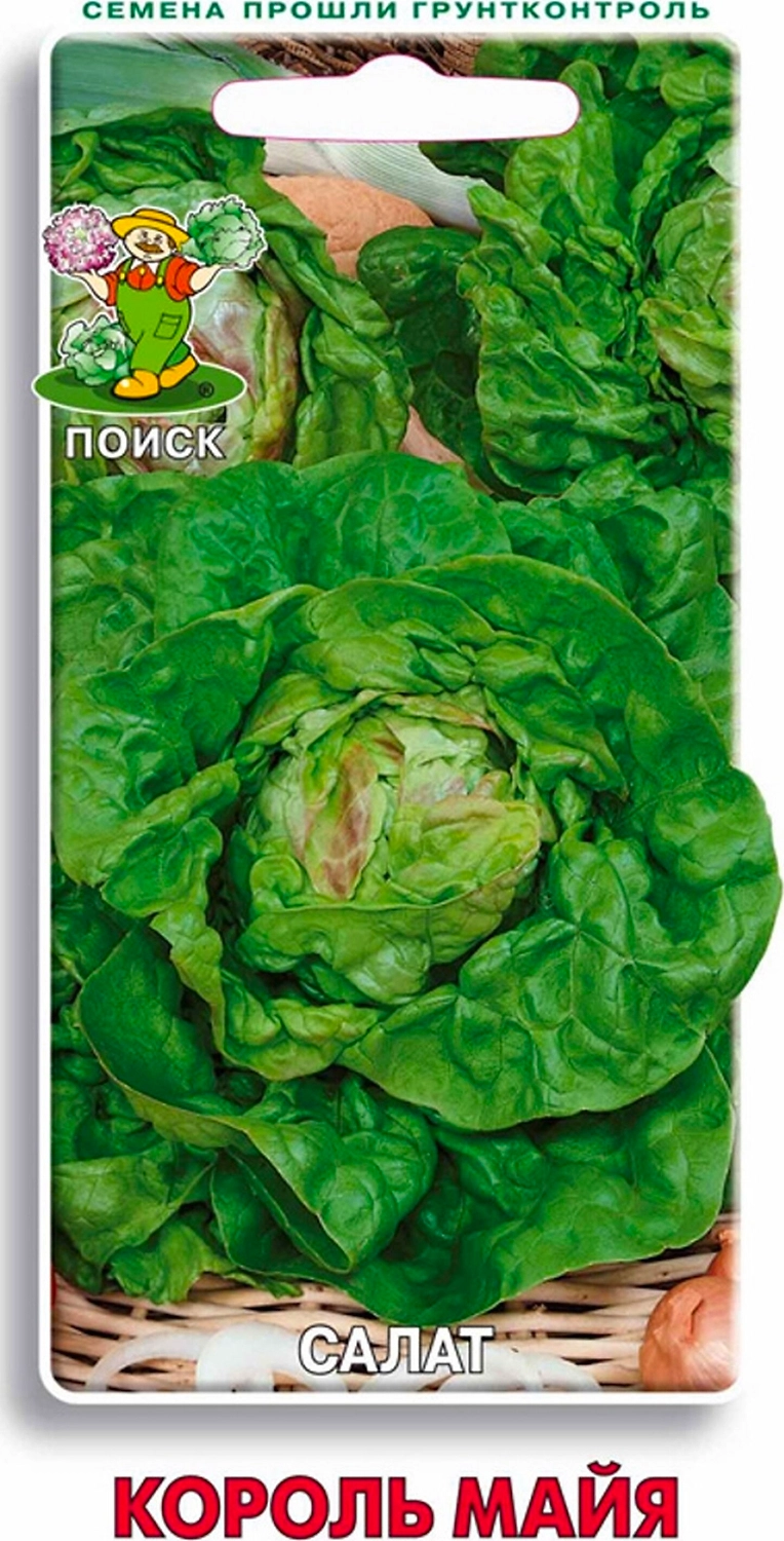 Семена Салата ПОИСК Король Майя 1 г