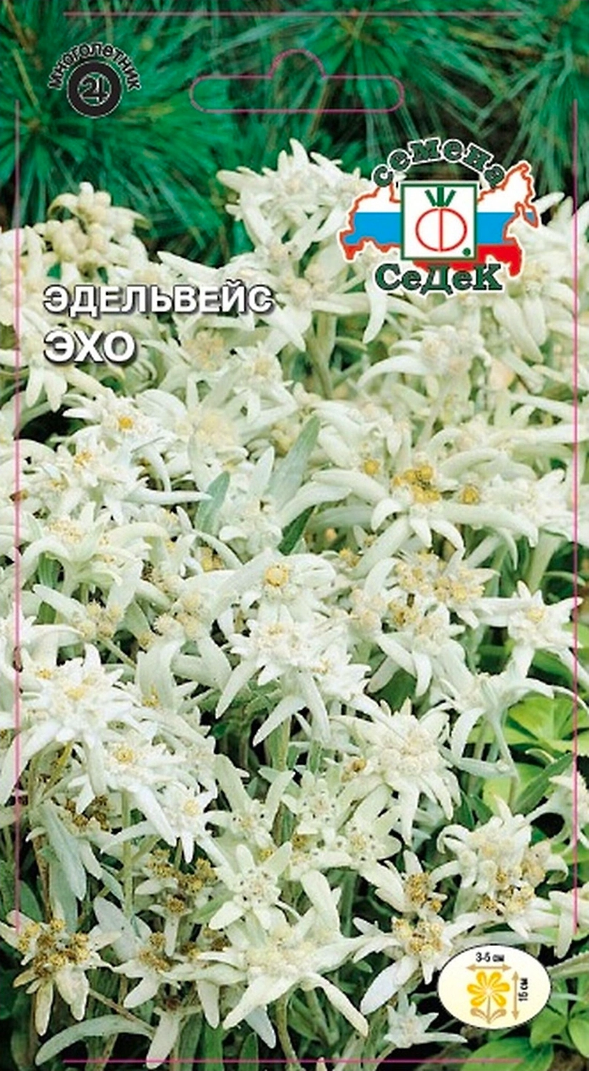 Семена Эдельвейса СеДеК Эхо 1 г