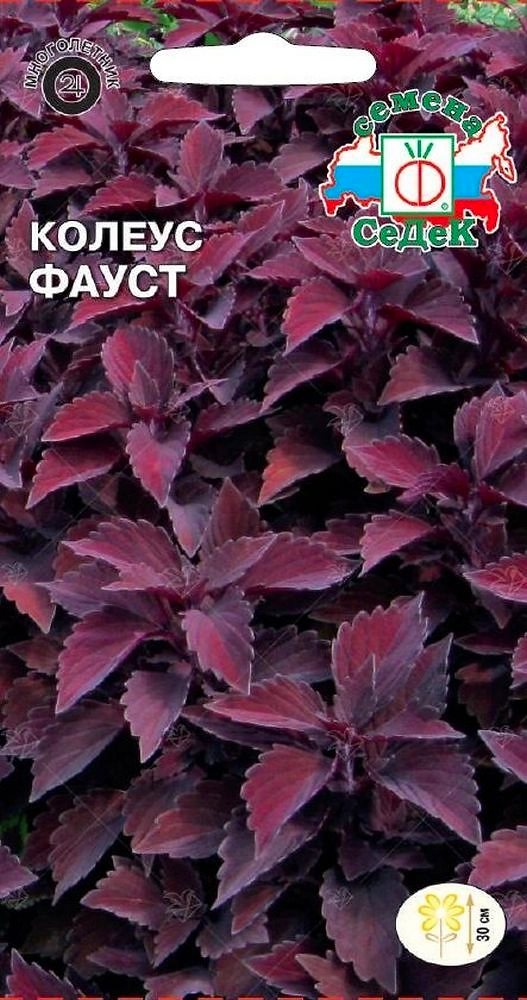 Семена Колеуса СеДеК Фауст 1 г