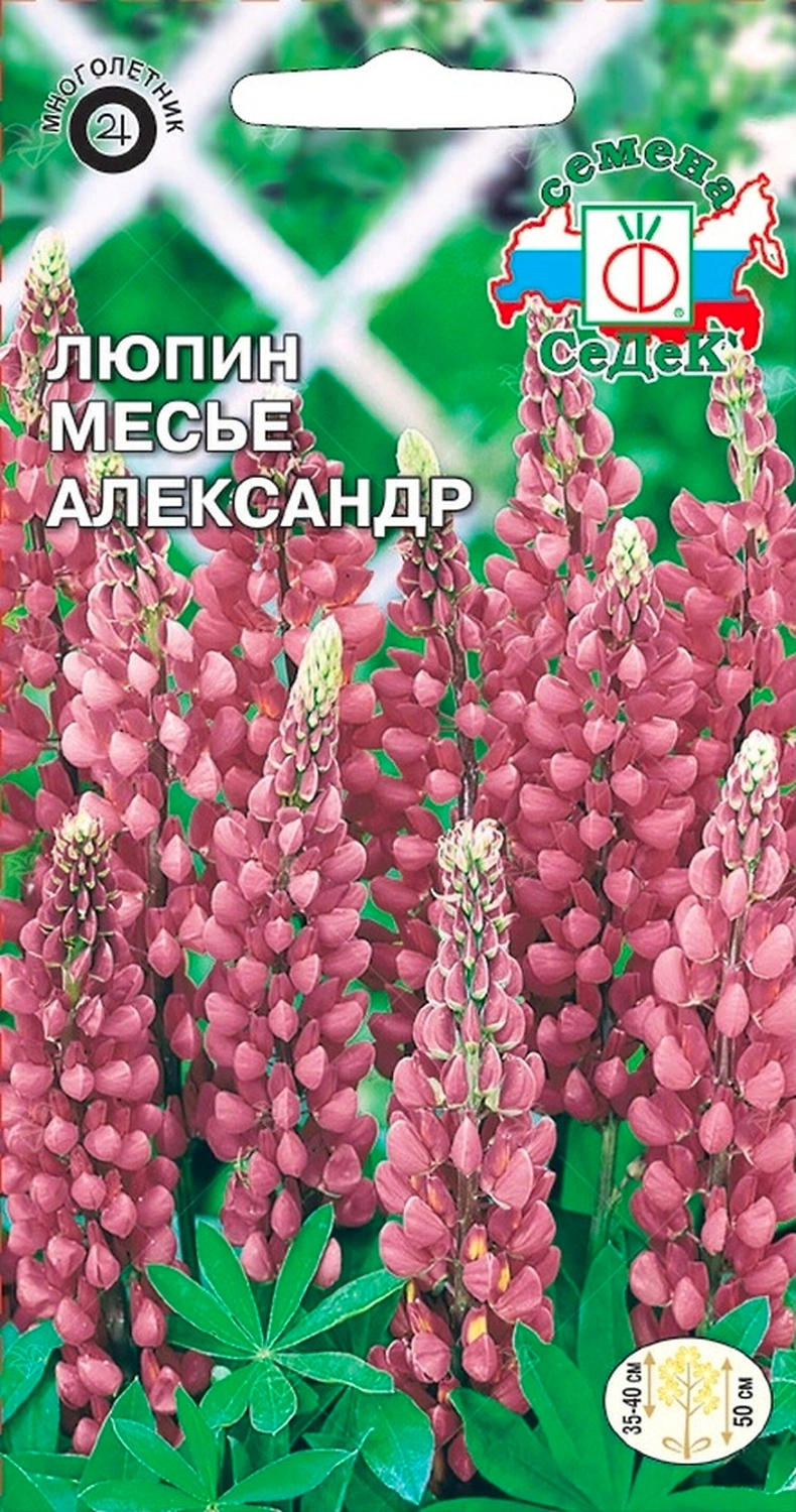 Семена Люпина СеДеК Месье Александр 0,2 г