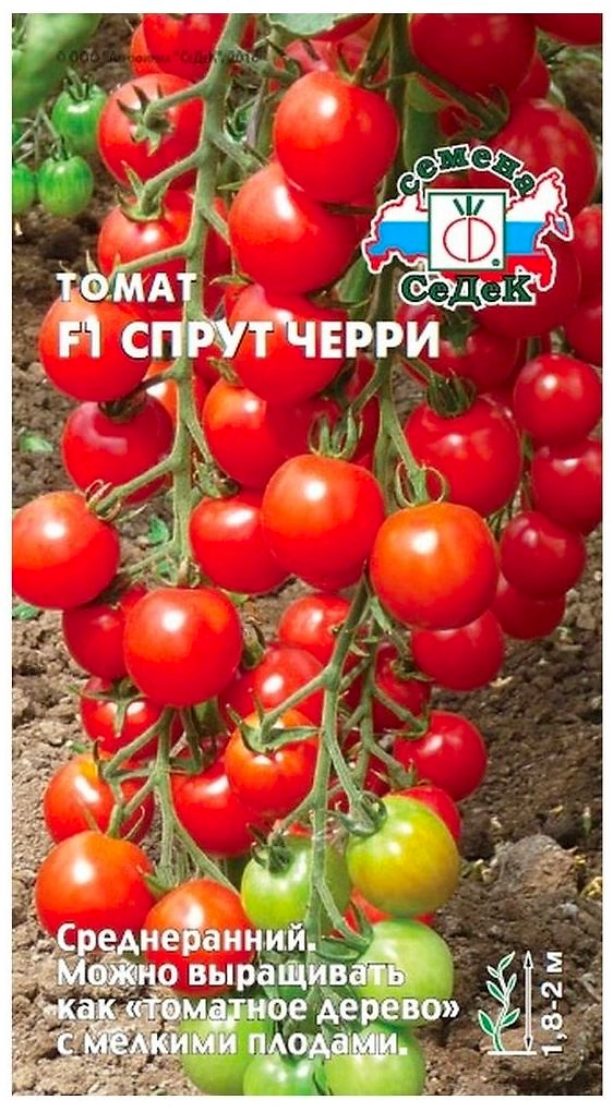 Семена Томата СеДеК Спрут черри F1 0,3 г